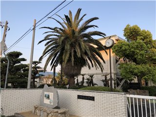 フェニックス