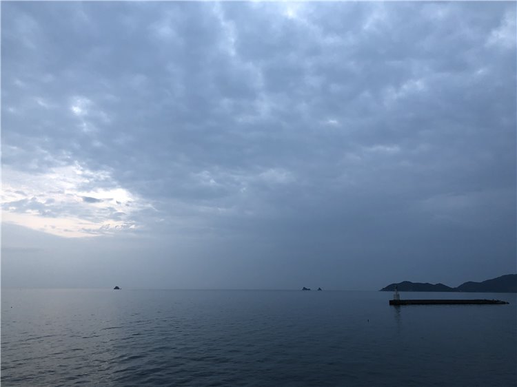 26日の画像