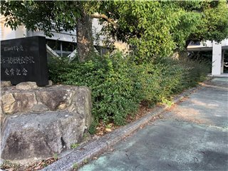 ツクバネウツギ