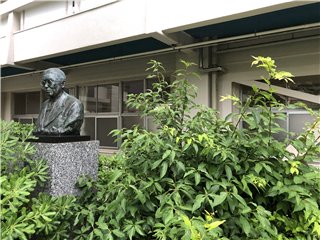 アラカシ