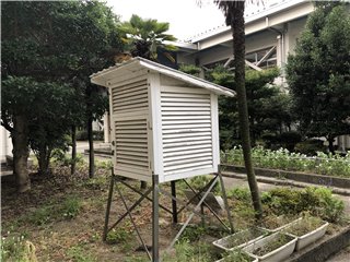 百葉箱