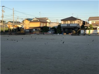 運動場