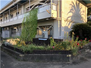 ボランティアの庭