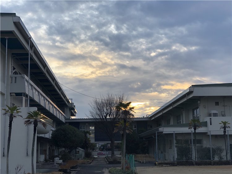27日の画像