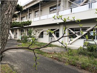 ナツメ