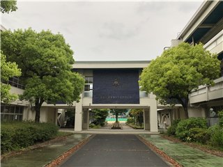 クスノキ