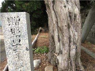 貝塚