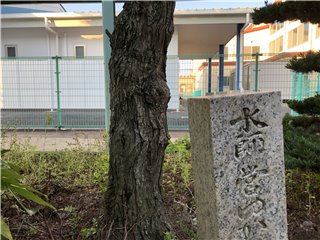 ナツメ