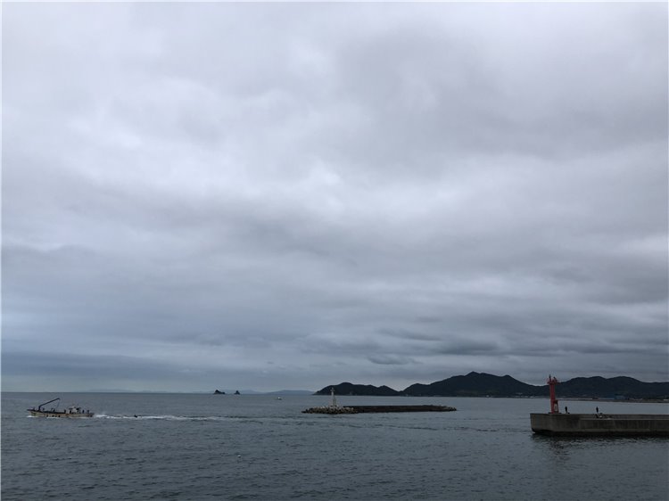 13日の画像