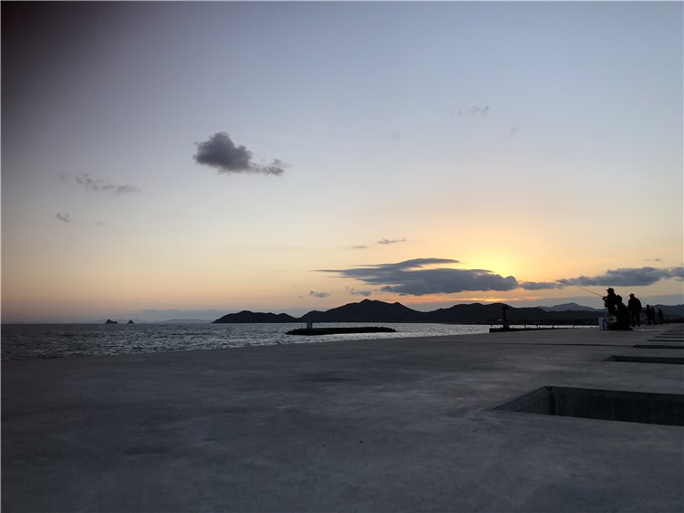 7日の画像