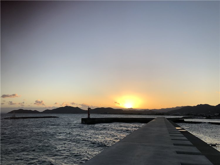 1日の画像