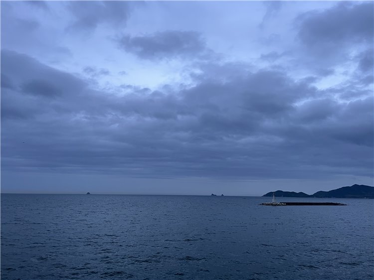 11日の画像