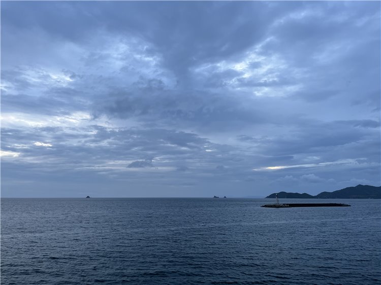 12日の画像