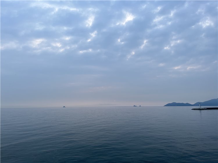 26日の画像