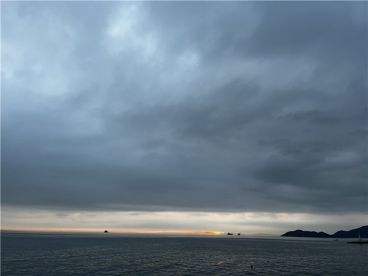 13日の画像