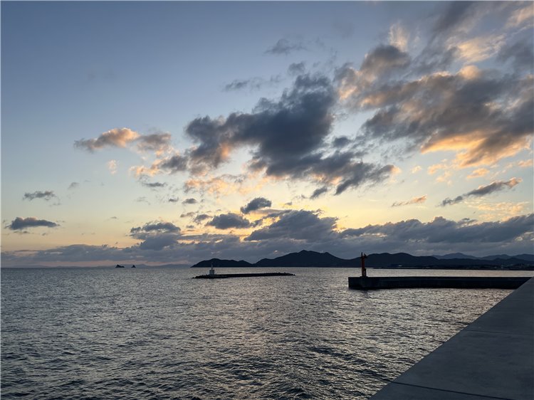 7日の画像