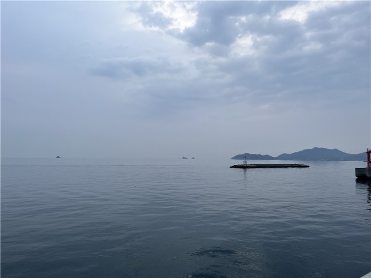 10日の画像