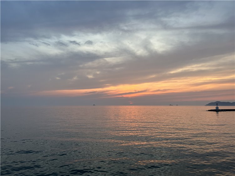 21日の画像