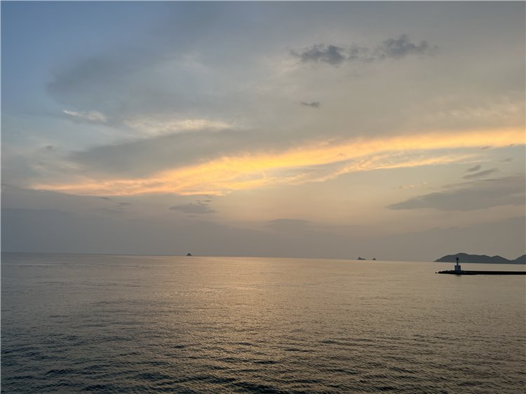 16日の画像